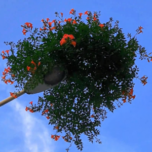 ·���ϵ������� һ������������