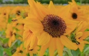 �Q��2023�߿���һ�e�Z����