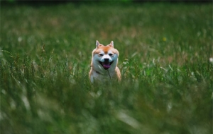 ����Ҋ�R�ˣ���Ȯ��ȻҲ����ѽ��ѽ��