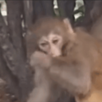 ��ɽ���F�ڵķ��r��Ȼ�ͳ�������ˣ�Ҫ֪��ǰ���꣬��ɽ�����Ǽt�P