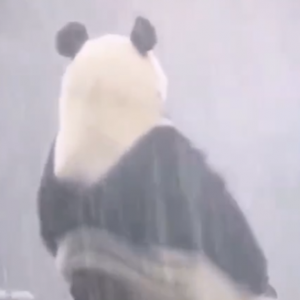 ��n���@�������Һʹ���؈��һ��