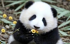 �V��������������Ȼ����ҵ���