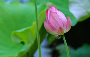 Ոݷݷ�W�ӽ����@�ݺ��\�B�B���ɺ�����