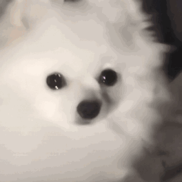 ���������Ӹ��|����Ҟ�߀���h�����F���ѽ��Q��4��������