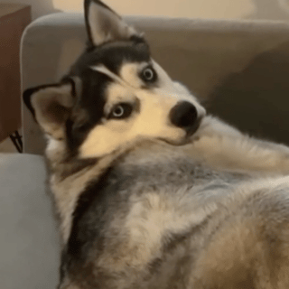 �lС�Y���ˣ��wĽ���L�Î�߀឵��˸���