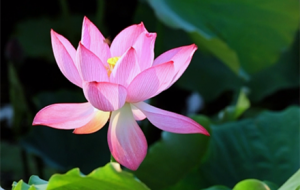 һ����ɏ���^�_���G�~�c�Y�뮋��