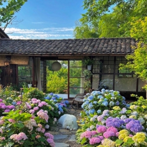 ������Ժ������r���������^��Ԋ