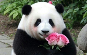 С������ĺÿɐۣ��Ķ�����