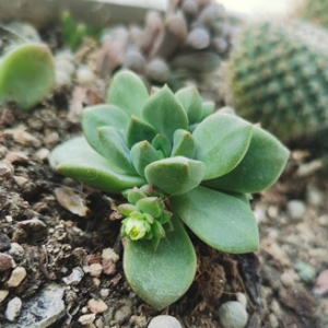 ����ҵĶ��⣡�K���_����