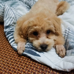 �Ҽҹ��Ӽ����ˣ����������w�������׺ߺ���������