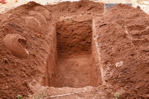 ���ϱ�D��Ո���£��������ˆʶY���wҎ����ʲô