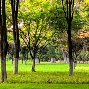 �����һĨ�G���o�۾����ɷ���