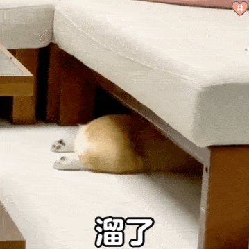 �����ɵС����e���B�ޣ��Y�����^��ȫ��һ����