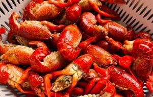 �������һ�P���(zh��n)С���r����ֱ����һ�N����