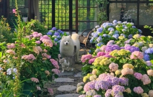 �M���r�����l�ܿ����@��ò����Ժ��