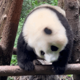 �������ˣ�߀���l����Ŀ������܇�͒�