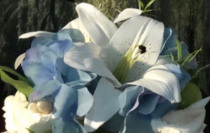 ���ֵ�r�����⣡�������¿ڰ�