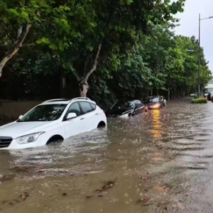 ����÷���m(x��)�l(f��)���������ゃ���͵��ˆ᣿