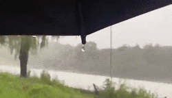 �������������