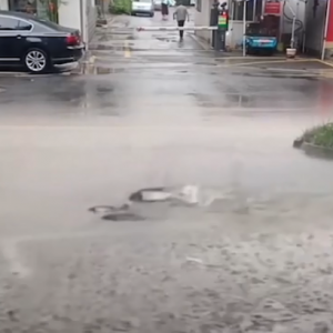 �Ķ��Ĵ����R·���a�~�����߀�Ǽٵģ�