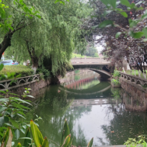 �S�ģ����� ��СϪ�W����