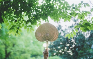 ��������ǲ��ǼҼ�Ҫ���{���Q�С��߀Ҫ�Q�ء����ߣ�