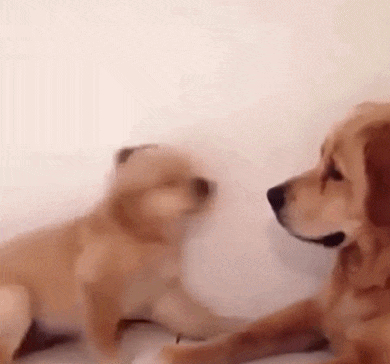 �B���M����������ȫ����̫�y��