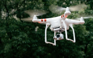 �� �w ͨ ��