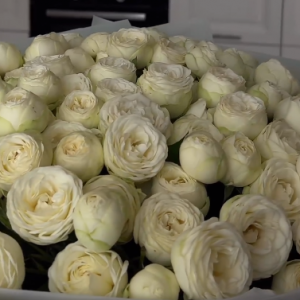 ���մ�n������׷��