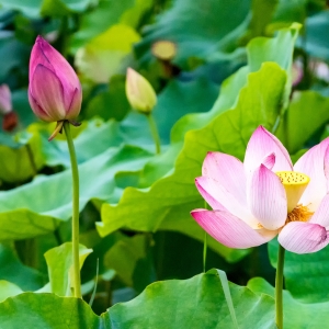 ��������A��