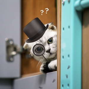 Ӣ�Z(y��)���������gһ��(g��)�µ���һ���f(w��n)�ɣ��ֲ����й��@ô�y��