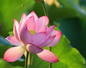 �����S�ģ�ֻ���@һ�|����