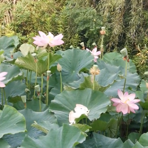 ��������߅�������ڴˣ��Ե��䘷