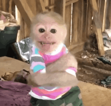 �Ͻ�ꎲ�֪���Ľ�������~