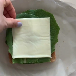 ��Ƭ֥ʿ����������