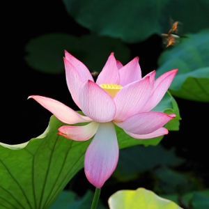 �M�غɻ��㣬�������g�Õr��