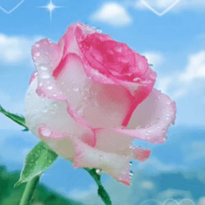 ������õ������ס���