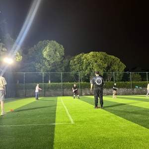 �w�P�\���S�ģ��ܽ���ƽ��