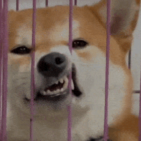 �Ƅ�6̖�u̖���������297�˳�216������4�����U��6����