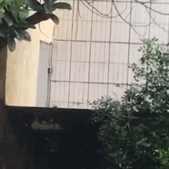 Փ��һȺ���~̖ð�����ˣ��c�_�Y�ϣ������P��ĳ�WУ