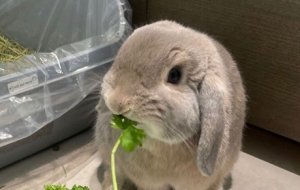 ���ӵ������ճ������̫���^��