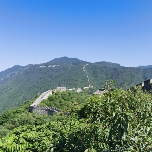 �����p�r�o���Ў�����һ��Сæ��n����֪�򌦷��f��Ԓ���ҵ���һ����C����