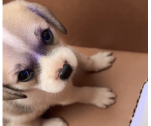 �@��ʲô����ͬ���ϰ�·�ϓ�ģ��ÿɐۣ����B����