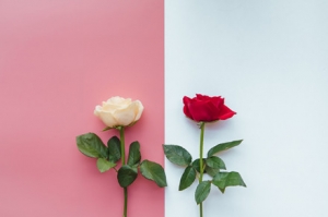 ��������Ԓ���������p�r���㣬�Ҹ�����F�ڂ��ܴݚ������