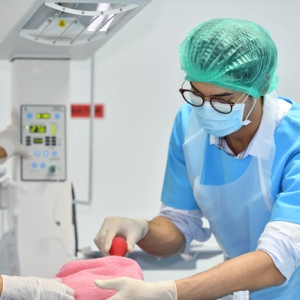 ��ĺ����@��Ⱥ�ﰢ�Ë�������M�tԺ������鰢���fҪ�҂��ߵĎ���