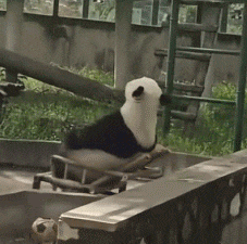 ��W���n�����a׃������ȥ��8�µ����ǲ��Ǖ����{����