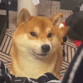 10��������8������ˣ���ʲô����˵���Ʒ��ô��