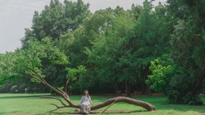 �M����G�����M�F(xi��n)����ľGҰ��ۙ