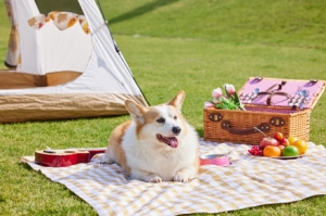 ��(zh��n)���ȥ���أ�������ô߀�]֪ͨ���(y��n)?z��i)? class=