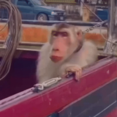 �@���������̽�F�����ø߿����M(f��i)��ȻҪ�@ô��...